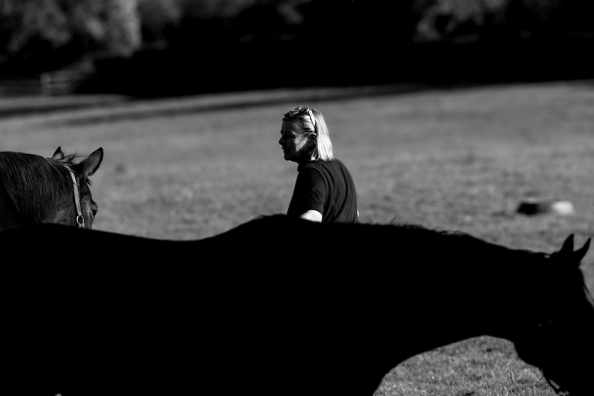 Haras du Vieux Pont, 20/10/2022, photo: Zuzanna Lupa